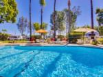 The fenced in swimming pool with umbrellas at VACATIONER RV PARK - thumbnail