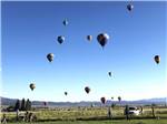 People looking at the hot air balloons at DIXIE FOREST RV RESORT BY RJOURNEY - thumbnail