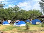 The tenting area with picnic benches at DIXIE FOREST RV RESORT BY RJOURNEY - thumbnail