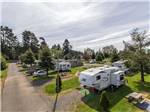 View larger image of A row of gravel RV sites at REDWOOD COAST CABINS  RV RESORT image #9
