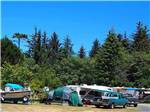 Trailers and RVs camping at VILLAGE CAMPER INN RV PARK - thumbnail