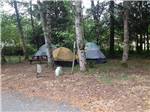 View larger image of Tents camping at VILLAGE CAMPER INN RV PARK image #8