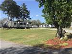 View larger image of Trees next to the RV sites at PERRY PONDEROSA PARK image #9