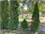 A picnic table behind some bushes at GEM STATE RV PARK - thumbnail
