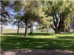 A grassy area with trees at VILLAGE OF TREES RV RESORT - thumbnail