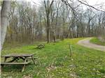 A row of wooden picnic tables at FULLER'S RESORT & CAMPGROUND ON CLEAR LAKE - thumbnail