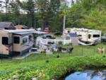 Long term RVs near the pong at WHIPPOORWILL MOTEL & CAMPSITES - thumbnail