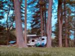 RV at site under giant trees at WHIPPOORWILL MOTEL & CAMPSITES - thumbnail