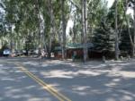 A cabin nestled in the woods at YELLOWSTONE RIVER RV PARK & CAMPGROUND - thumbnail