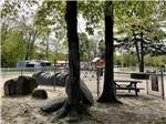The playground equipment at SUNSETVIEW FARM CAMPING AREA - thumbnail