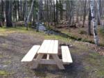 Panic table at site Megunticook Campground by the Sea - thumbnail
