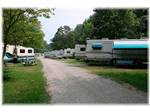 View larger image of Gravel road leading into RV park with trailers parked on both sides at CAMPGROUND AT DIXIE CAVERNS image #2