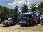 Cat rescue Class A motorhome at WASSAMKI SPRINGS CAMPGROUND - thumbnail