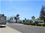 View larger image of A row of RV sites with RVs at SANTA NELLA RV PARK image #6