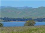 View larger image of Overlooking a lake nearby at SANTA NELLA RV PARK image #9