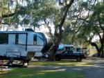 RVs parked under shade trees at Silver Springs RV Park - thumbnail