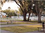 Sites under the trees at Silver Springs RV Park - thumbnail