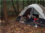 Kids looking out of a tent at RIP VAN WINKLE CAMPGROUNDS - thumbnail