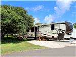 View larger image of White and brown travel trailer parked near large tree at PADRE PALMS RV PARK image #4