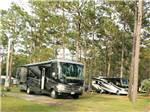 A group of RVs parked under trees at NEW GREEN ACRES RV PARK - thumbnail