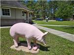 Statue of a pink pig at New Green Acres RV Park - thumbnail