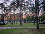 The park at sunset - thumbnail
