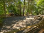 Open RV space at Sun Retreats Peters Pond - thumbnail