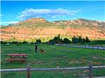 View larger image of The dog area with a picnic bench at ALPEN ROSE RV PARK image #6
