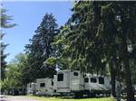 Trailers pulled in under tall trees at HARRISBURG EAST CAMPGROUND & STORAGE - thumbnail