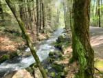 Creek at Jim Thorpe Camping Resort - thumbnail
