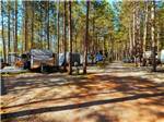 Tree lined, shaded sites - thumbnail
