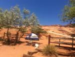 Tent under a tree at GOULDING'S MONUMENT VALLEY CAMPGROUND & RV PARK - thumbnail
