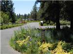 Road leading into campground at BEND/SISTERS GARDEN RV RESORT - thumbnail