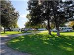 View larger image of A grassy area with RVs at BOARDMAN MARINA  RV PARK image #2