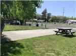 View larger image of One of the paved back in RV sites at NAPA VALLEY EXPO RV PARK image #2