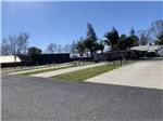 View larger image of A row of paver RV sites at NAPA VALLEY EXPO RV PARK image #6