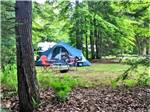 A tent in a site under trees at BIG CEDAR CAMPGROUND & CANOE LIVERY - thumbnail
