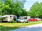 Trailers backed in at the grassy sites at BIG CEDAR CAMPGROUND & CANOE LIVERY - thumbnail