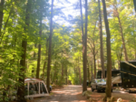 Tree lined sites at Spacious Skies Minute Man Campground - thumbnail