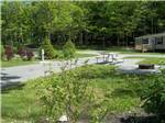 A paved pull-thru site with patio and table - thumbnail