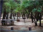 A picnic table and BBQ at AVALON CAMPGROUND - thumbnail