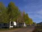 Tree-lined sites at Oasis RV Resort & Cottages Gunnison Lakeside - thumbnail