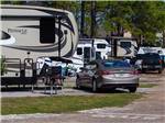 A row of travel trailers at CAMPER'S INN - thumbnail