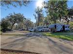 A view of RV sites under shade trees - thumbnail