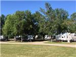 RVs parked near trees at JAMESTOWN CAMPGROUND - thumbnail