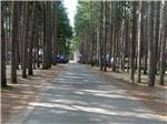The road between the RV sites at PEARL LAKE RV CAMPGROUND BY RJOURNEY - thumbnail