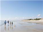 View larger image of Family walking dog on the beach at JEKYLL ISLAND CAMPGROUND image #5