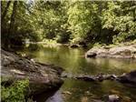 View larger image of The creek by the campsites at BUCK CREEK RV PARK image #1