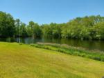 Grassy waterfront at COLALUCA FAMILY CAMPGROUND - thumbnail