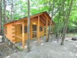 Rental cabin at PROSPECT MOUNTAIN CAMPGROUND - thumbnail